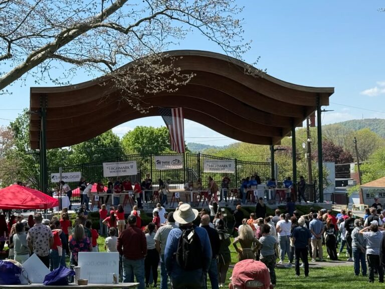Crowd at an outdoor park bandshell during the She Nails It charity event